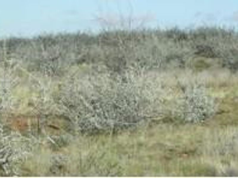 Commercial Agricultural Farm for Sale-Maltahohe - Photo 10