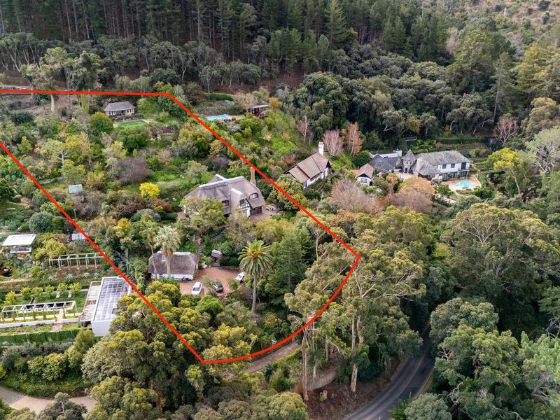 Witteboomen - a world above Constantia! - Photo 2