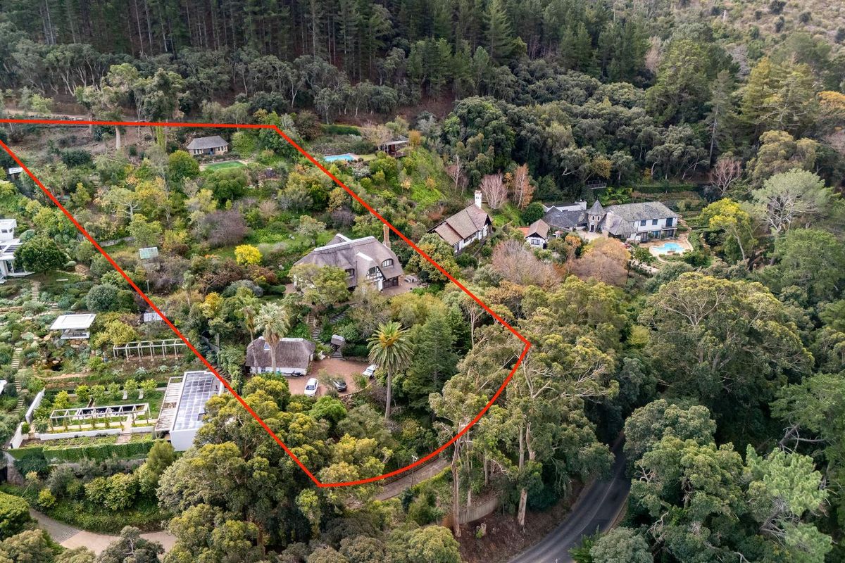 Witteboomen - a world above Constantia! - Photo 2