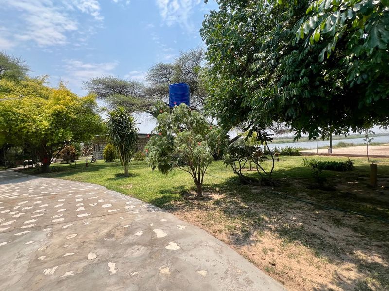 A spacious garden area featuring a paved walkway, mature trees, and a raised water storage tank, offering a peaceful outdoor setting.