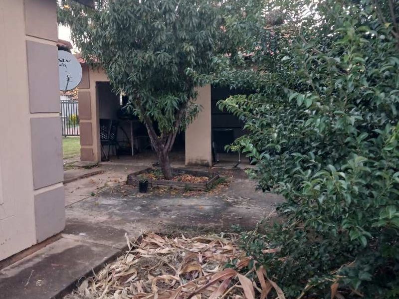 Fresh start - Photo 3