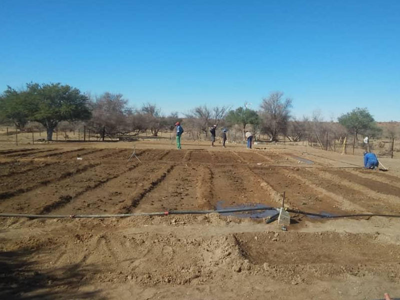 CATTLE FARM FOR SALE IN HARDAP DISTRICT - Photo 7