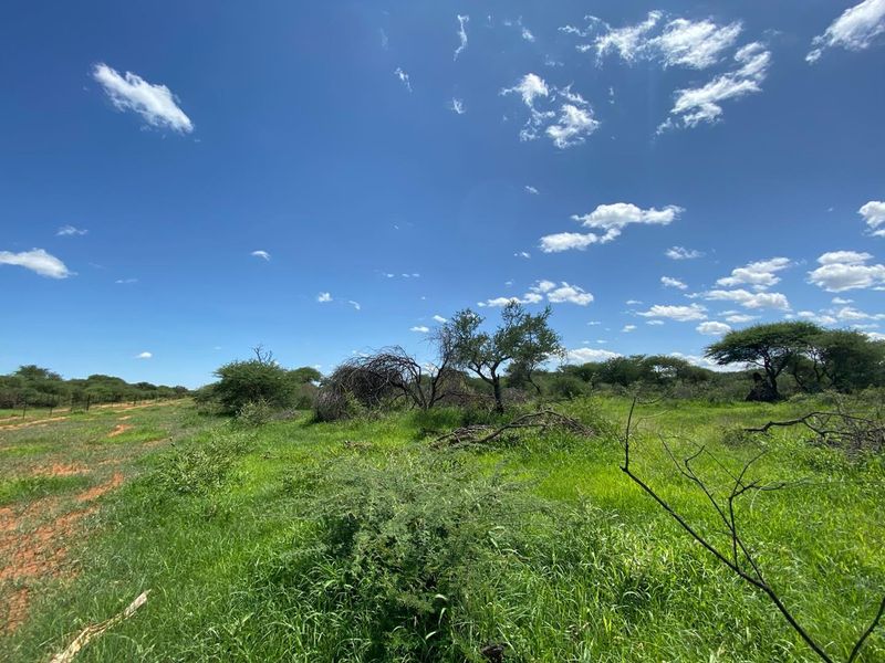 Plant your dream where water, space, and opportunity come together. With an exceptional combined borehole capacity of approximately 39 m3/hour. - Photo 1