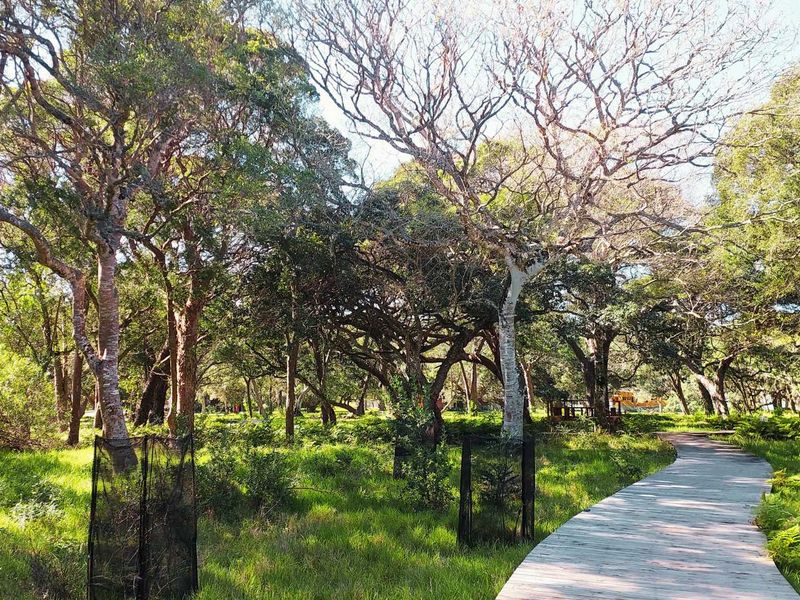 Vacant Land in Lake Brenton Eco Estate - Photo 10