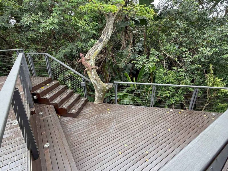 Spacious family Home plus bachelor flat - Photo 10