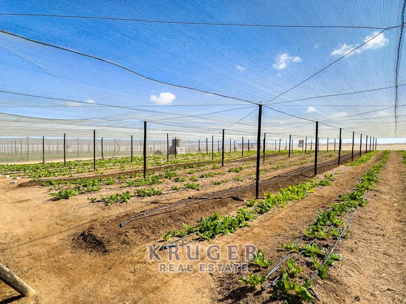 Productive Agricultural Smallholding with Established Income Stream - Photo 5