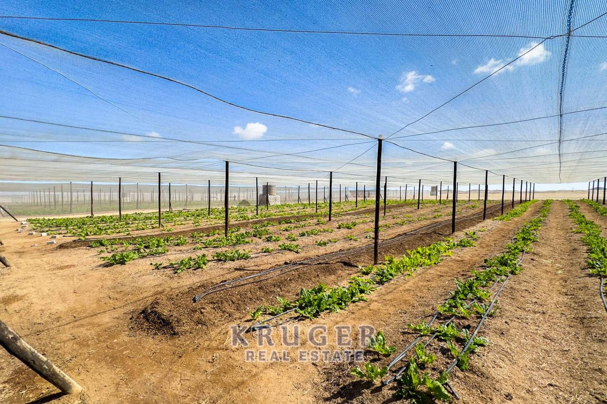 Productive Agricultural Smallholding with Established Income Stream - Photo 5
