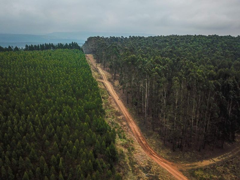 475Ha MULTI-USE FARM IN DONNYBROOK - Photo 10