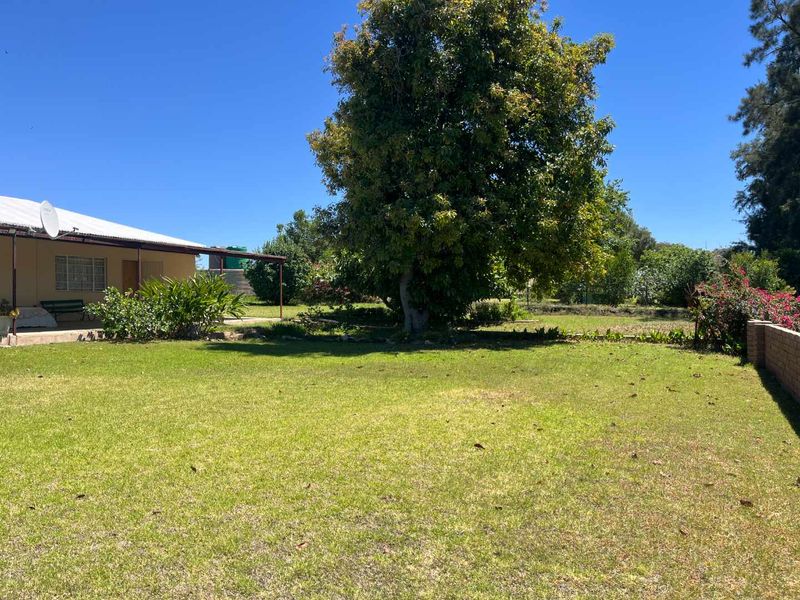 A spacious backyard featuring a well-maintained lawn, a large mature tree, and a brick boundary wall, adjacent to a covered patio area.