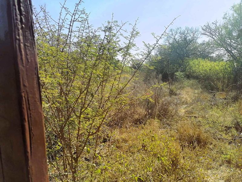 Vacant Land for Sale – Wildebeesthoek - Photo 7