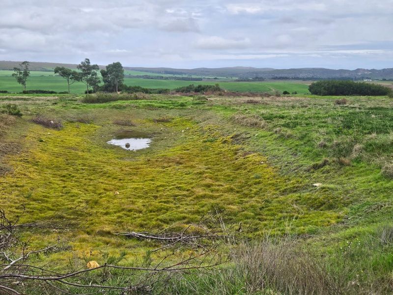 Expansive 10.97 Hectare Lifestyle Farm with Scenic Views - Photo 7