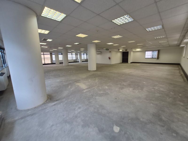 A large, open-plan office space featuring structural columns, a suspended ceiling with recessed lighting, and unfinished concrete flooring, ready for tenant fit-out.