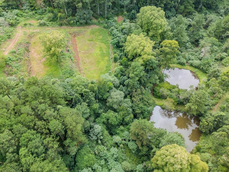 Land for sale in Assagay - Photo 3