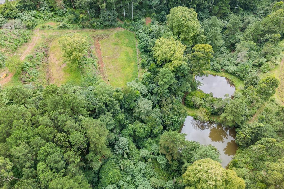 Aerial view of a vacant residential plot featuring natural ponds, dense woodland, and cleared grassy areas.