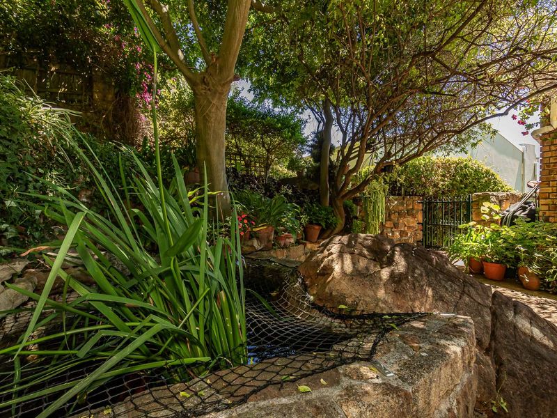 GOD’S WINDOW – MAGNIFICENT, UNINTERRUPTED PANORAMAS - Photo 8