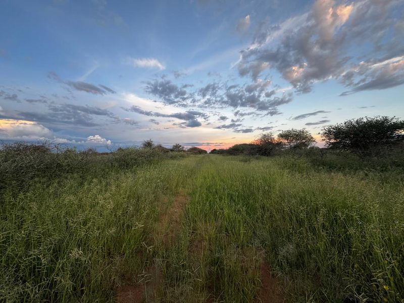 217 Hectares of Peaceful Living - Photo 7