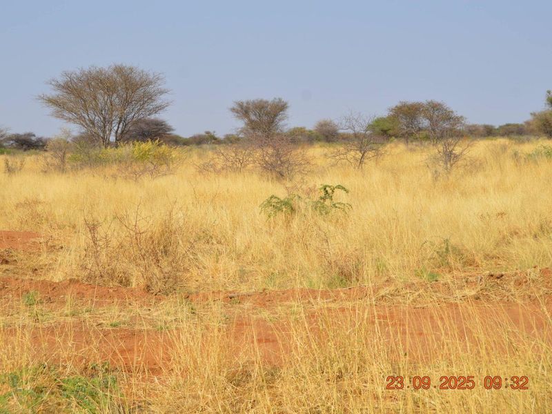 BIG PLOTS AHEAD & UP FOR SALE !! - Photo 2