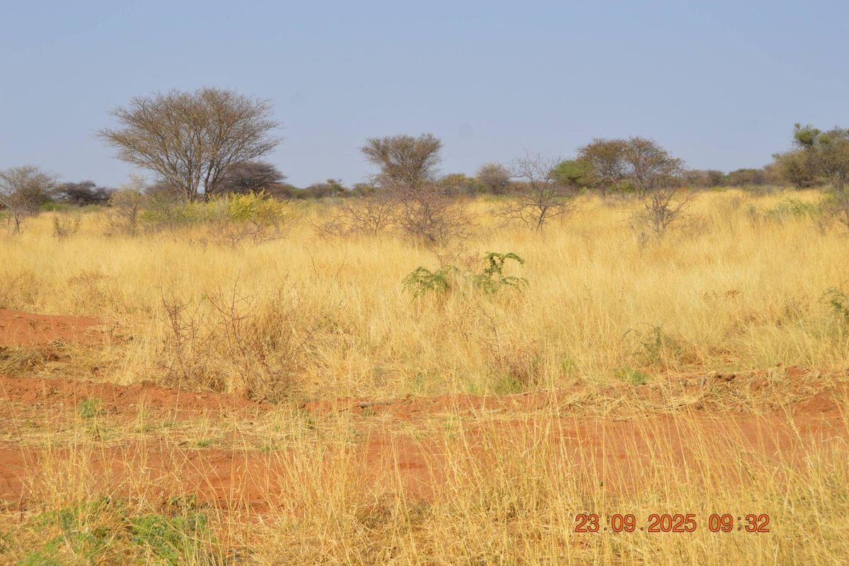 BIG PLOTS AHEAD & UP FOR SALE !! - Photo 2