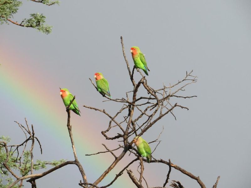 Plot For Rent | 55km Out | 9 Years - Photo 4