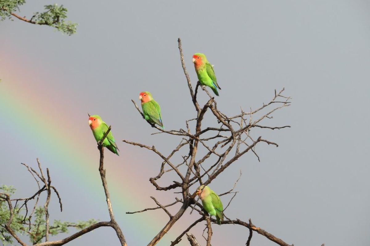 Plot For Rent | 55km Out | 9 Years - Photo 4