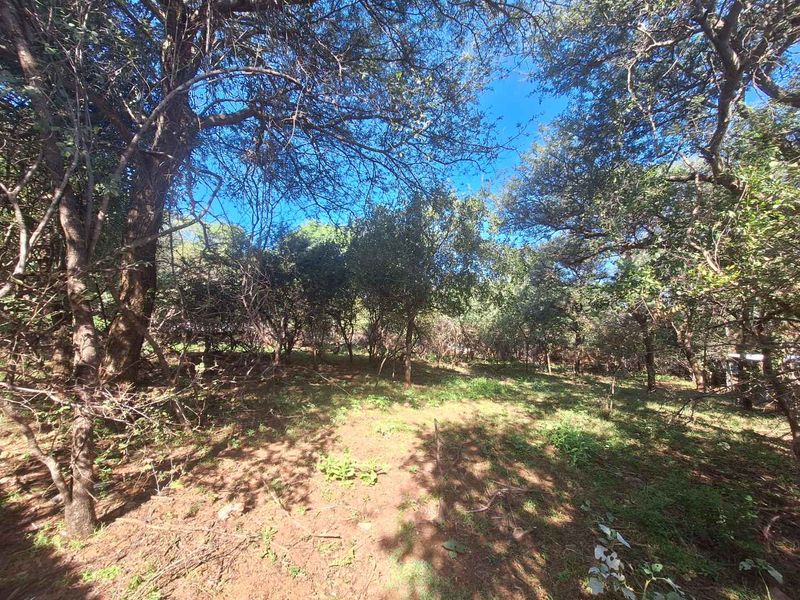 Prime 800m2 Plot in Leeupoort - Tranquil Retreat - Photo 6