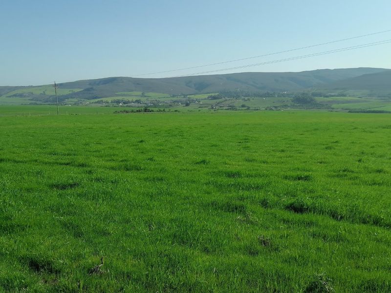 Getting back to Basics - Photo 6