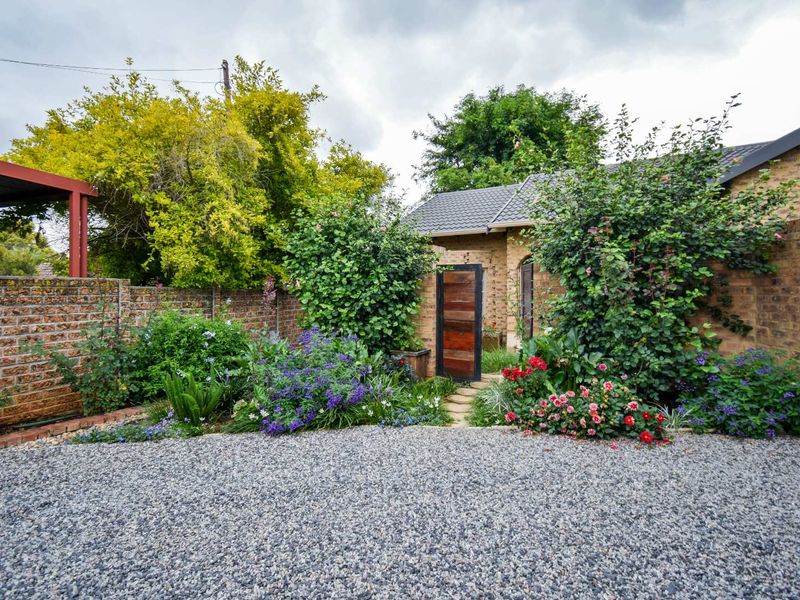 Charming cosy cottage in a quiet street with an artful colourful soul. - Photo 4