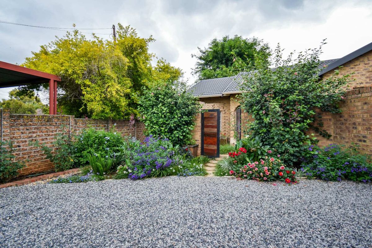 Charming cosy cottage in a quiet street with an artful colourful soul. - Photo 4