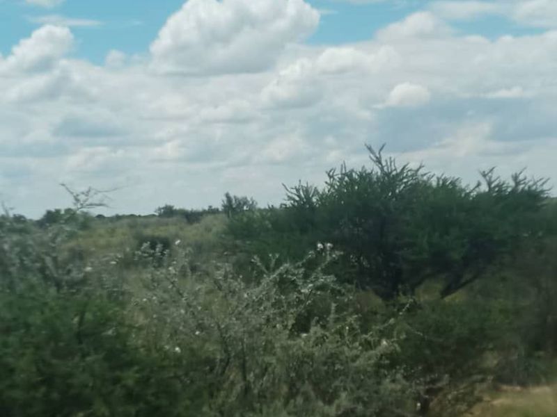 FOR SALE - FARM IN STAMPRIET, MARIENTAL AREA, NAMIBIA - Photo 5