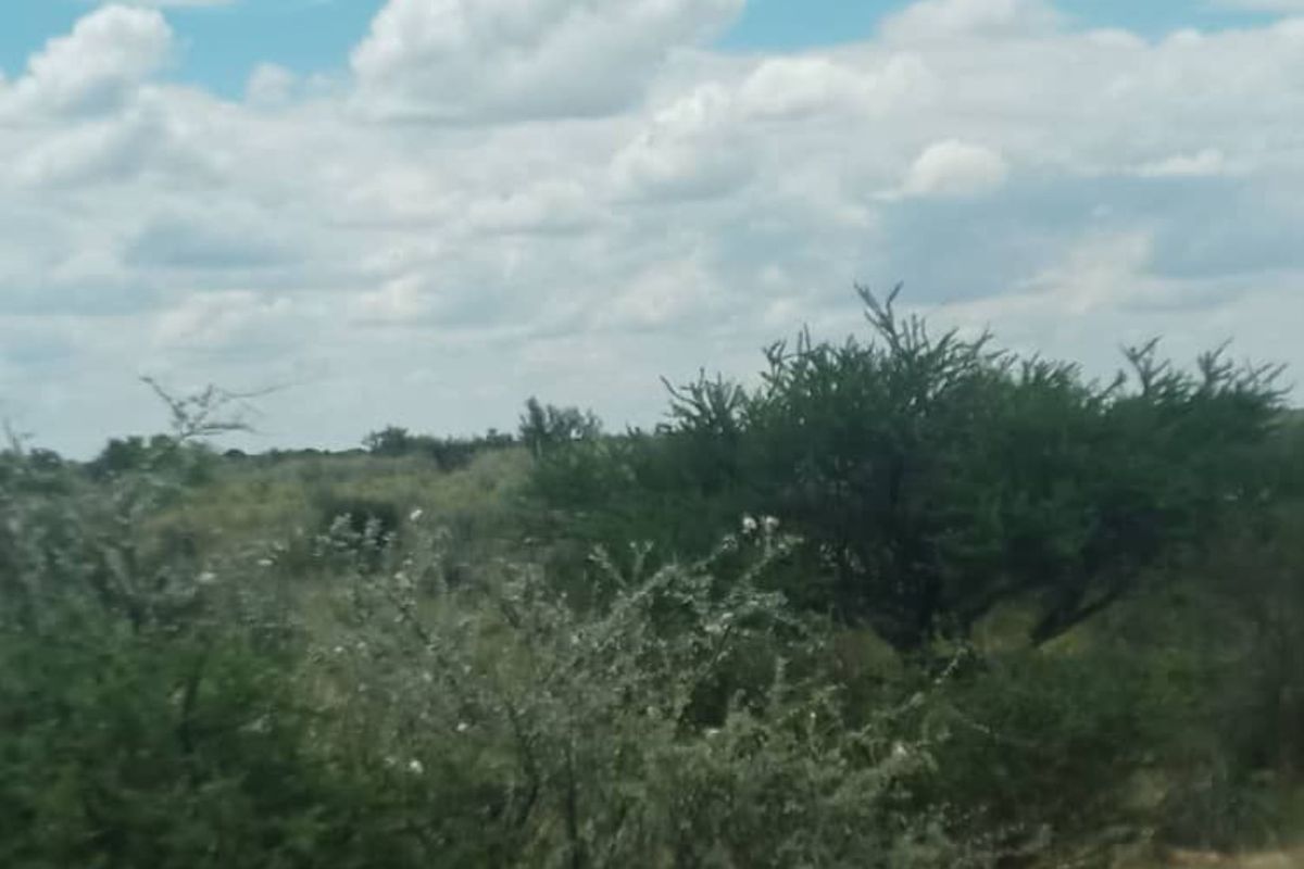 FOR SALE - FARM IN STAMPRIET, MARIENTAL AREA, NAMIBIA - Photo 5