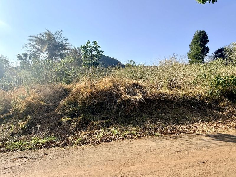 A view of an undeveloped residential plot featuring natural vegetation and direct street access.