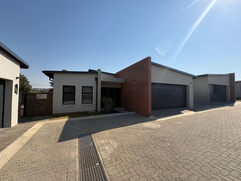 Front elevation of a modern cluster home featuring a paved driveway, double garage, and a distinctive brick feature wall.