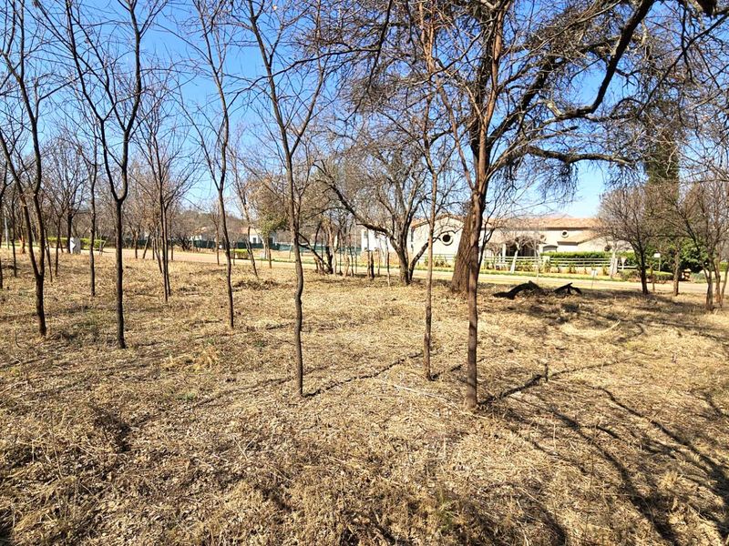 Vacant Stand in Estate d Afrique - Photo 10