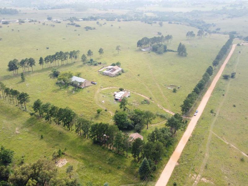 This Beautiful Stand/Farm is situated in the Heart of The Cradle of Humankind. - Photo 3