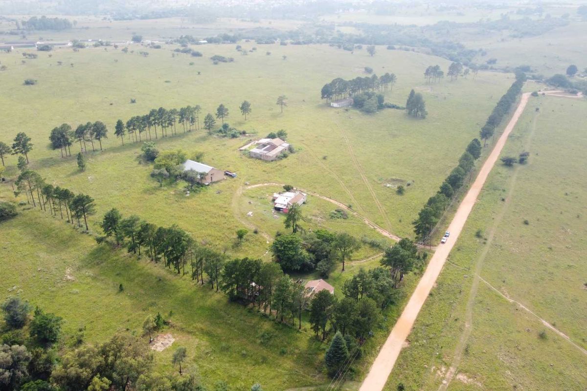 This Beautiful Stand/Farm is situated in the Heart of The Cradle of Humankind. - Photo 3