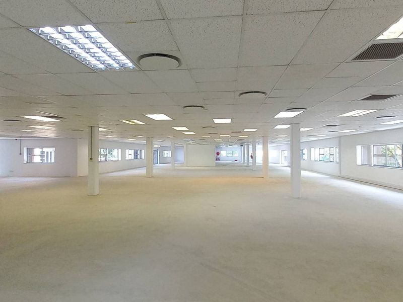 A large, open-plan office space featuring a suspended ceiling, recessed lighting, air conditioning vents, and multiple support columns with ample natural light.