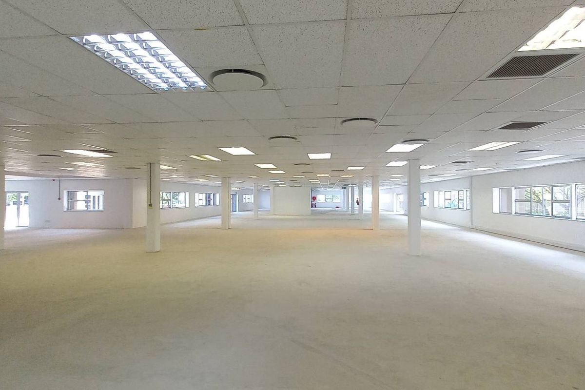 A large, open-plan office space featuring a suspended ceiling, recessed lighting, air conditioning vents, and multiple support columns with ample natural light.
