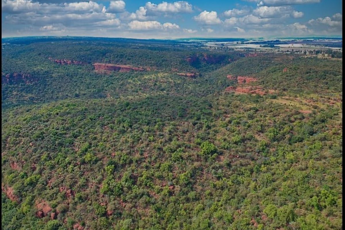 An expansive aerial view of the natural agricultural landscape featuring dense indigenous vegetation and rocky terrain.