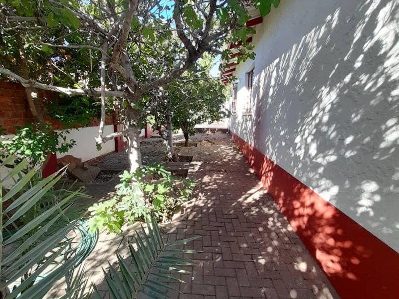 A side garden pathway featuring brick paving and mature trees running alongside the exterior wall of the house.