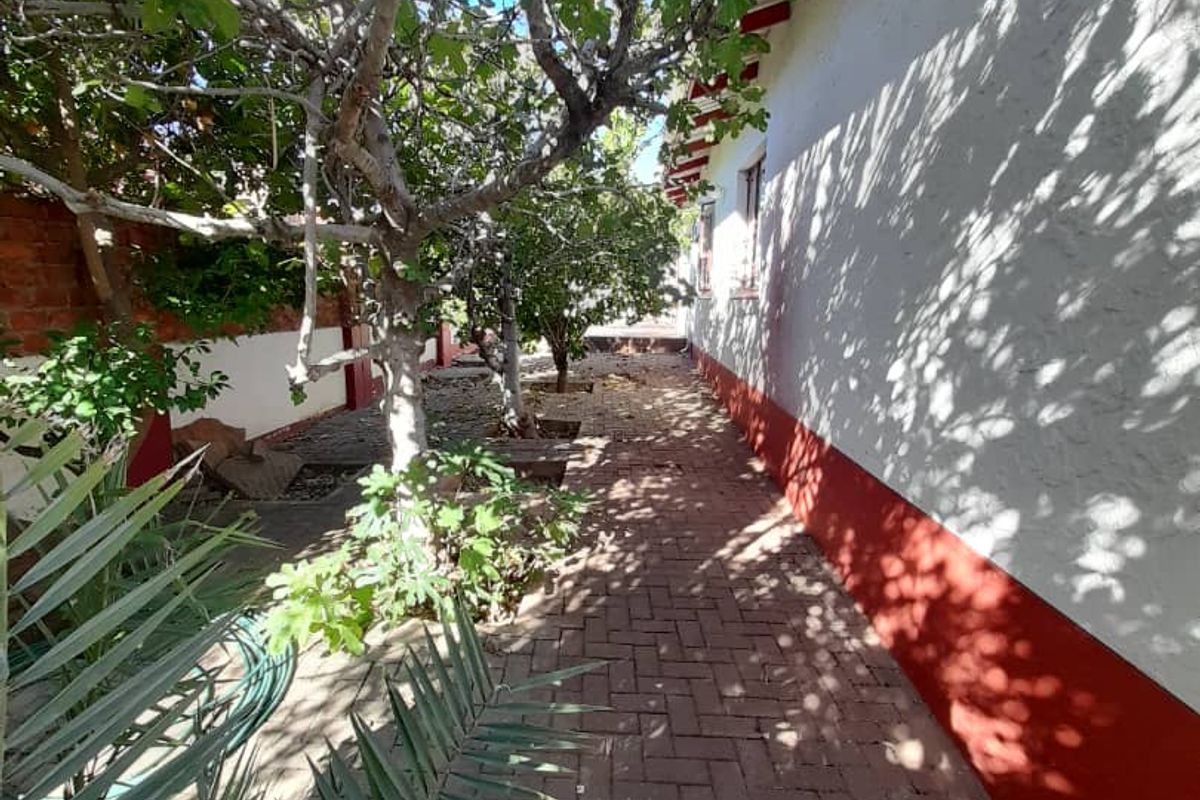 A side garden pathway featuring brick paving and mature trees running alongside the exterior wall of the house.