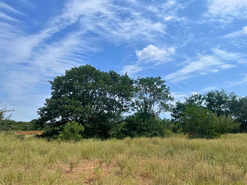 Riverside Stand in Elephant Rock Eco Estate - Photo 3