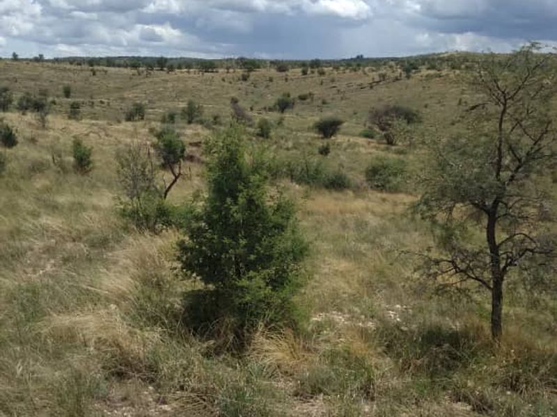 Nature Estate Near Windhoek – 21 Hectares of Pure Potential! - Photo 5