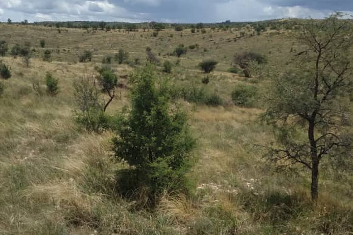 A scenic view of open, undeveloped residential land featuring natural grasses, scattered trees, and rolling terrain under a cloudy sky.