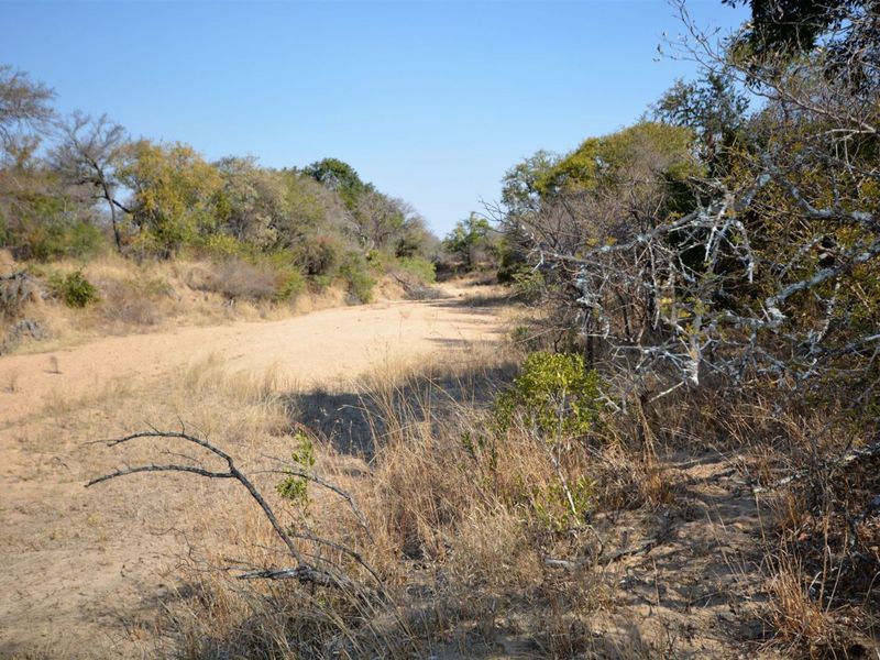 Vacant Land in MODITLO NATURE RESERVE - Photo 8