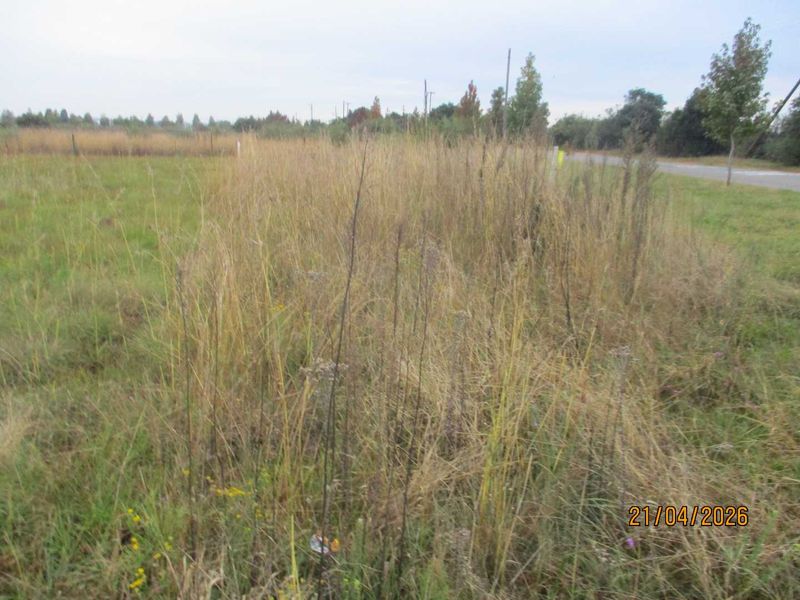 Enjoy the tranquility of Henley - Photo 4