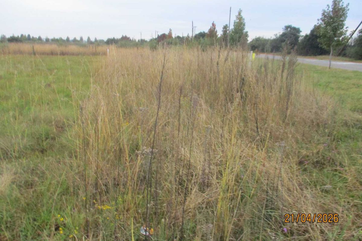 Enjoy the tranquility of Henley - Photo 4