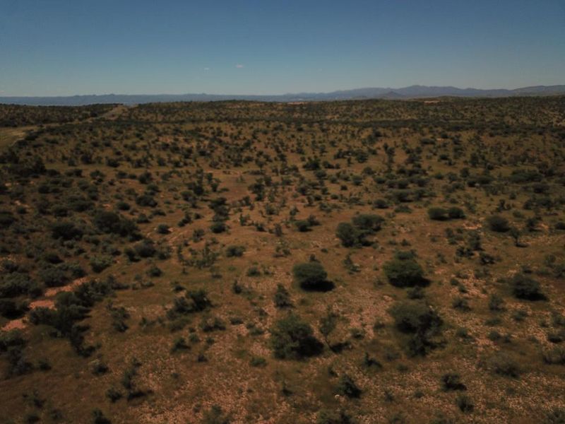 An aerial view of a large, undeveloped residential plot featuring native scrubland and natural terrain.