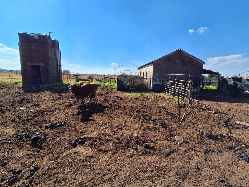 Centrally Located Farm with Direct Tar Road Access - Photo 9