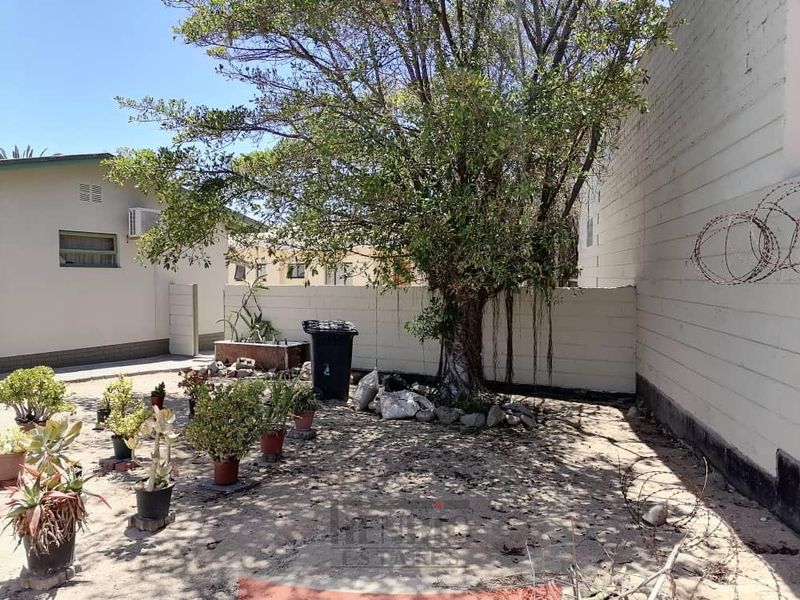 A Classic in Sought After Area - SOLE MANDATE - Photo 6