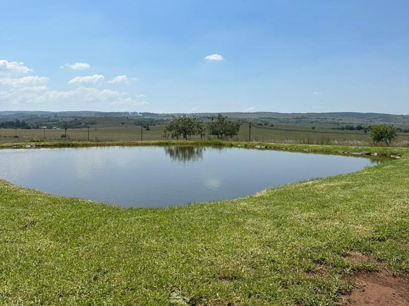 A scenic view of a natural pond set within open agricultural land, featuring grassy banks and distant rolling hills.